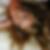 Profilbild von Jessica Wegener