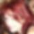 Profilbild von Andrea Krampe