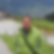 Profilbild von Silvia Hasse