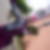 Profilbild von Madeleine Casper