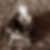 Profilbild von Marion Reitmajer-Harrer