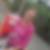 Profilbild von Franzi Path