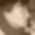 Profilbild von Sandra July