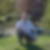 Profilbild von Dirk Vulhop