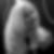 Profilbild von Eileen Kammann