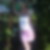 Profilbild von Alexandra Eckhardt