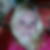 Profilbild von Andrea Mitschke