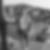 Profilbild von Alexander Wolff