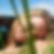 Profilbild von Verena Wittler