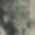 Profilbild von Duncan Conner