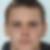 Profilbild von Florian Krummel
