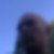 Profilbild von Sven Wilde