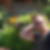Profilbild von Thomas Wandt