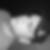 Profilbild von Rico Wagener