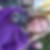 Profilbild von Marie-Theres Kathmann