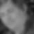 Profilbild von Martin Stutzinger