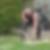 Profilbild von Frank Rodenhauser