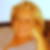 Profilbild von Heidi Lehmann