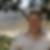 Profilbild von Dirk Rank
