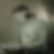 Profilbild von Sebastian Emde