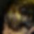 Profilbild von Alexander Peschl