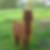 Profilbild von Roland Hemm