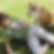 Profilbild von Grit Scheffler