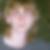 Profilbild von Camillo Geiseler