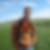 Profilbild von Daniel Mesca