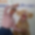 Profilbild von Thorsten Halbach