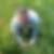 Profilbild von Michael Dirks-Wetschky