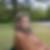 Profilbild von Michaela Mink