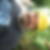 Profilbild von Thomas Seppelt