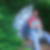Profilbild von Iris Schröder