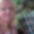 Profilbild von Wiebke Keuneke