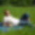 Profilbild von Ralf Spitzer