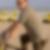 Profilbild von Ralf Ter Horst