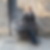 Profilbild von Cornelia Flenker
