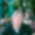 Profilbild von Astrid Lutterbach