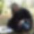 Profilbild von Joh Wra