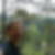 Profilbild von Mathias Besuch