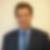 Profilbild von Michael Krause