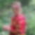 Profilbild von Ines Stephan