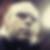 Profilbild von Jan Jendrossek