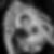 Profilbild von Sigrid Reschke