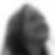 Profilbild von Ruth Löser