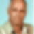 Profilbild von Bodo Greif
