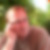 Profilbild von Helmuth Horling