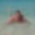 Profilbild von Andreas Henkes