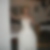 Profilbild von Daniela Blumberg